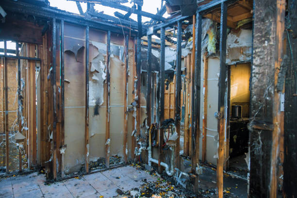 Professional Fire Damage Assessment technician working in Myakka City, FL
