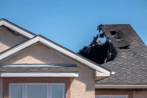 Top rated local Fire Damage Assessment specialists in Myakka City, FL